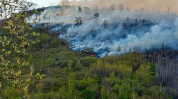 На Камчатке в одном из районов ввели режим ЧС из-за лесного пожара