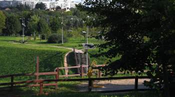 Пешеходный маршрут открыли в столичном парке  Долина реки Сетунь 