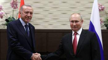В Турции рассказали о планах Эрдогана провести переговоры с Путиным