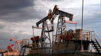 Британия призвала G7 ввести лимит на импорт российского газа и нефти
