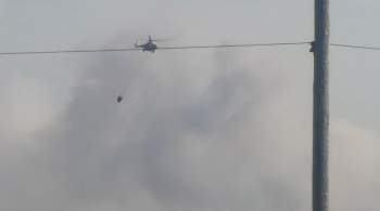 К тушению лесного пожара в Новосибирской области привлекли вертолеты