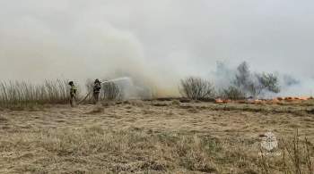 В Курганской области из-за лесных пожаров погибли 12 человек