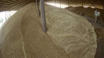 СМИ узнали детали предложений ООН по зерновой сделке 